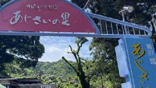 形原温泉あじさいの里（2025年6月25日撮影）