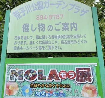 モラ展（荒子川公園ガーデンプラザで展示2025年6月1日）
