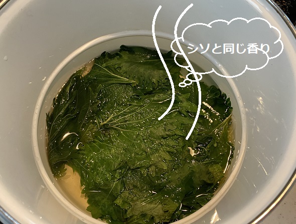大葉レシピ(ジュース)