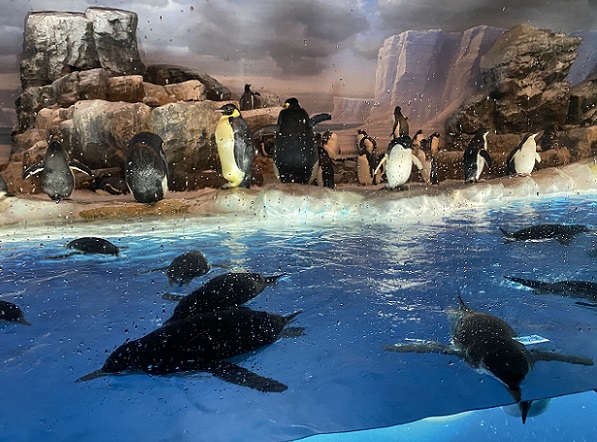 名古屋港水族館