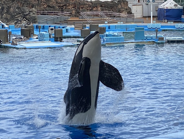 名古屋港水族館