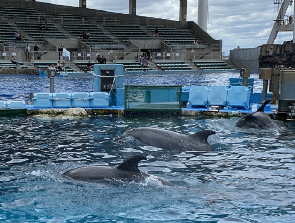 名古屋港水族館