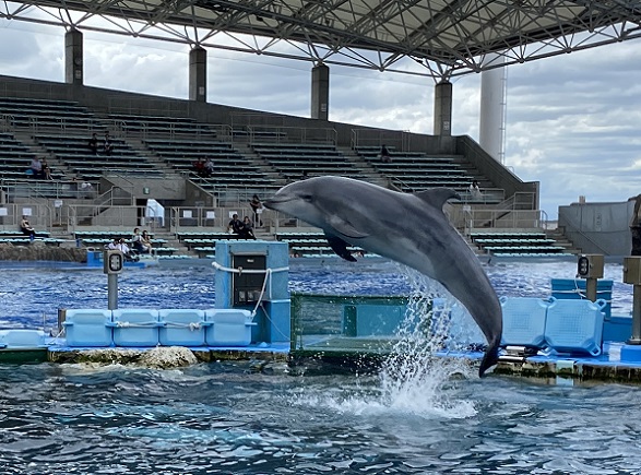名古屋港水族館
