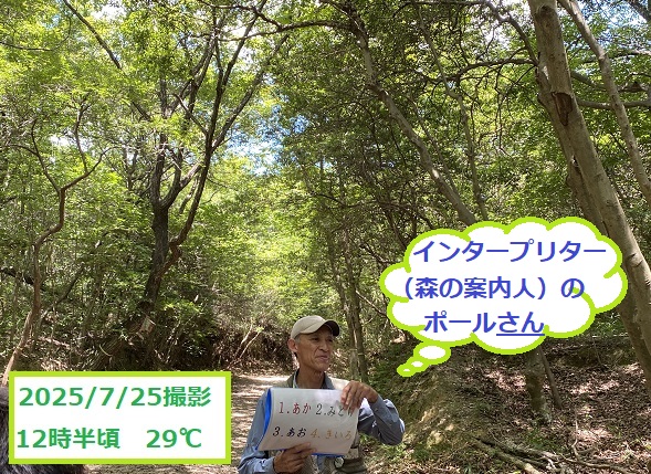 もりの学舎（モリコロパーク）開催のもり歩きツアー