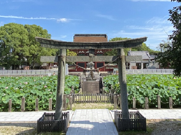 伊賀八幡宮(愛知県岡崎市)