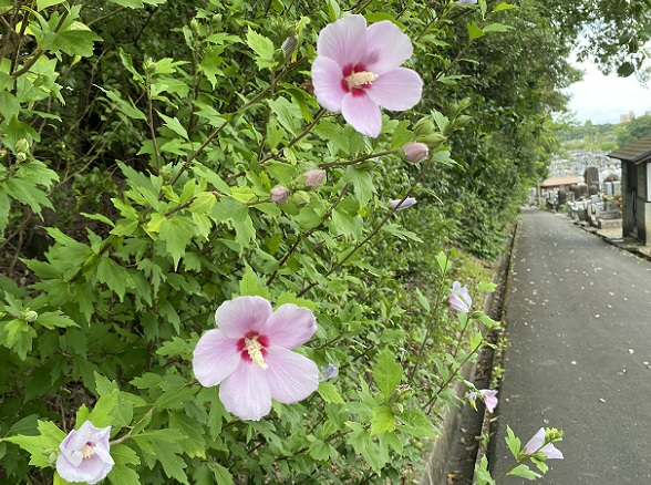 平和公園(名古屋市千種区)