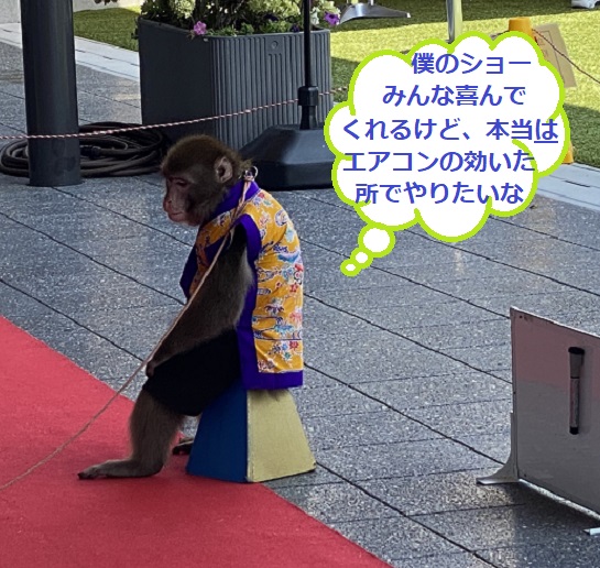 道の駅マチテラス日進（愛知県日進市）のイベント