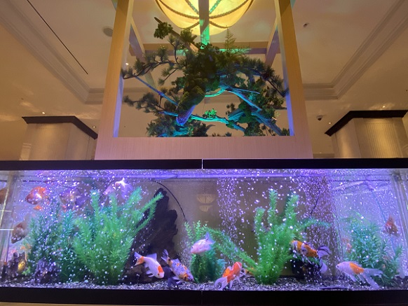 名古屋マリオットアソシアホテル15階展示の弥富金魚