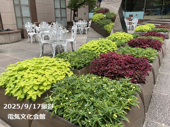 電気文化会館(名古屋市伏見)