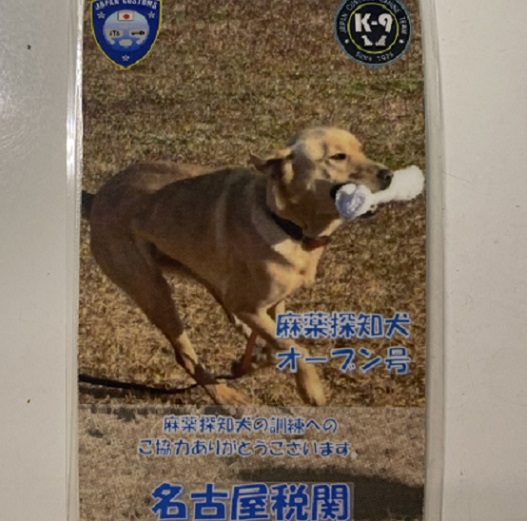名古屋税関麻薬探知犬