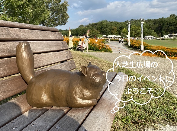 愛・地球博記念公園のキバナコスモス