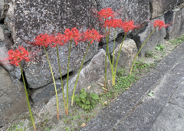 地下鉄名古屋城駅周辺