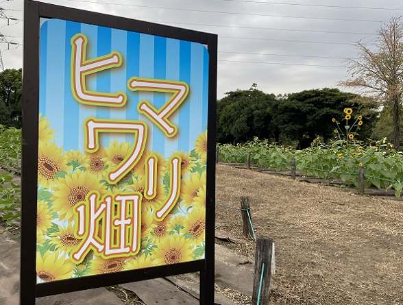 荒子川公園(名古屋市港区)