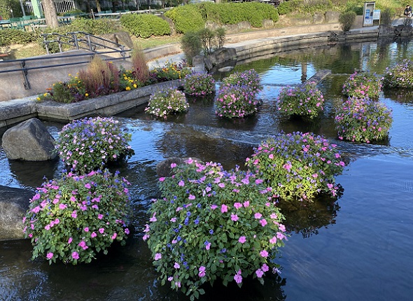 川島ハイウェイオアシス(2025年10月28日)