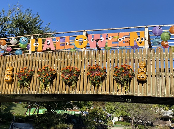 川島ハイウェイオアシス(2025年10月28日)