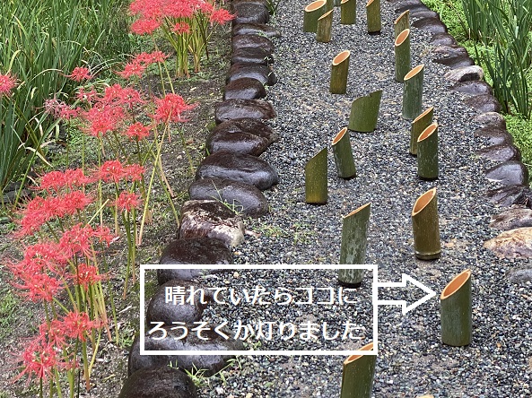 徳川園(名古屋市東区)2025年10月4日