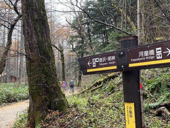 河童橋から明神池ルート