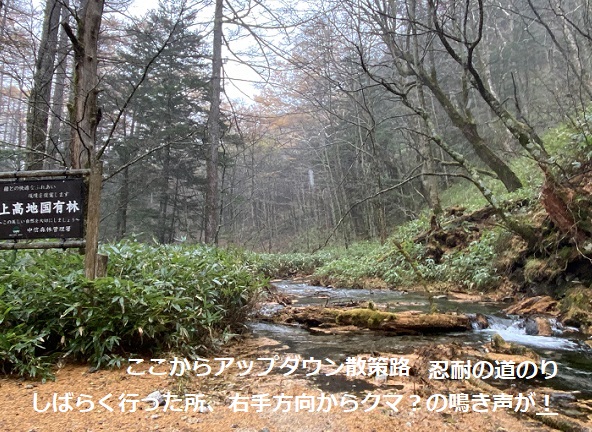 河童橋から明神池ルート