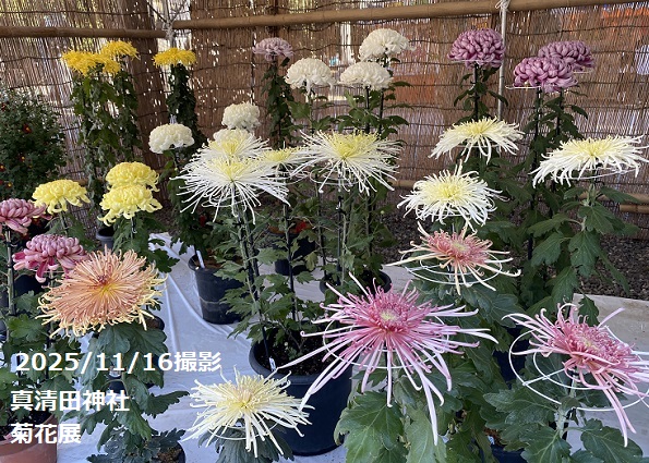 真清田神社(愛知県一宮市)