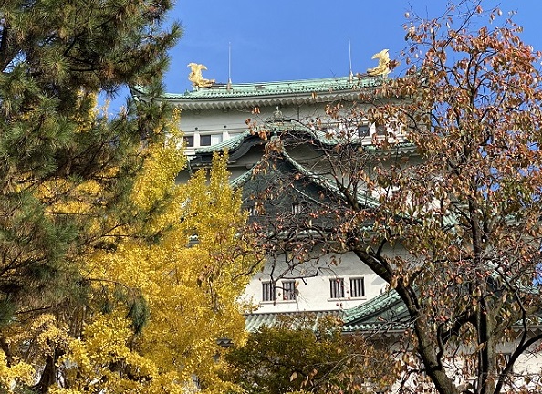 名古屋城（2025年11月24日撮影）