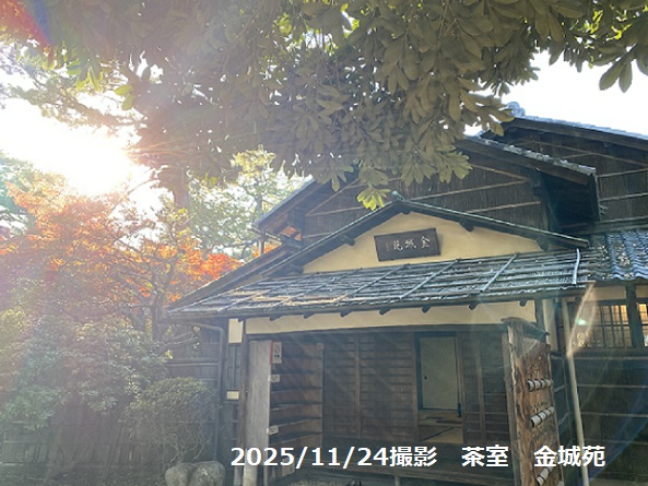 名古屋城茶席（2025年11月24日撮影）