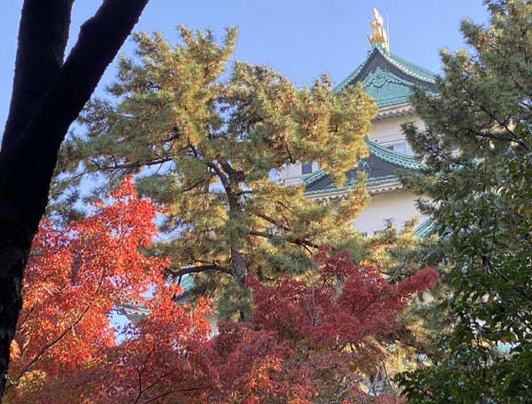 名古屋城茶席（2025年11月24日撮影）