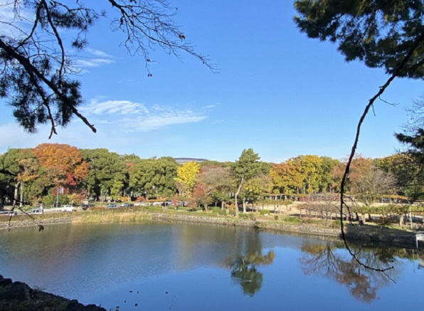 名古屋城茶席（2025年11月24日撮影）