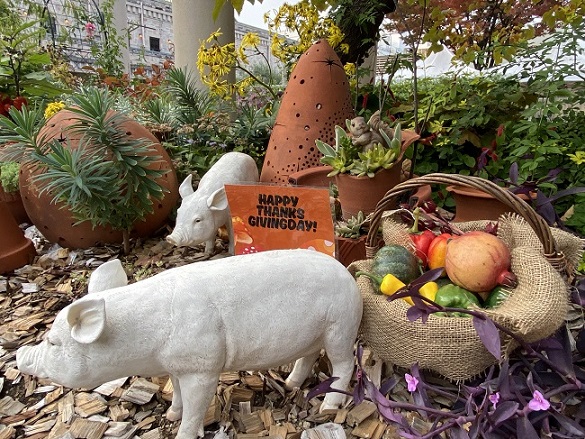 久屋大通庭園フラリエのサンクスギビング（2025年11月8日撮影）