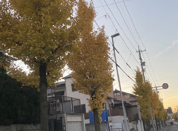 名古屋市名東区周辺