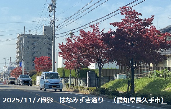 はなみずき通り(愛知県長久手市)