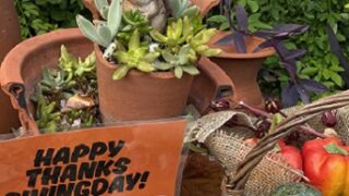 久屋大通庭園フラリエのサンクスギビング（2025年11月8日撮影）