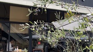 サルバトーレクオモ金山