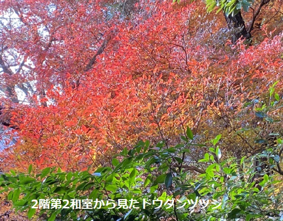 東山荘(名古屋市瑞穂区)