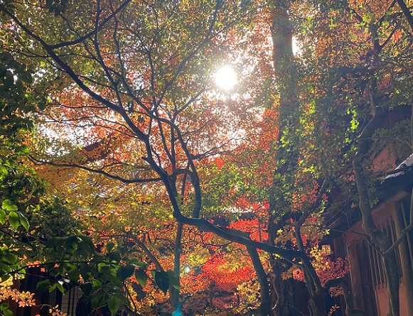 東山荘(名古屋市瑞穂区)