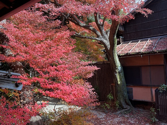 東山荘(名古屋市瑞穂区)