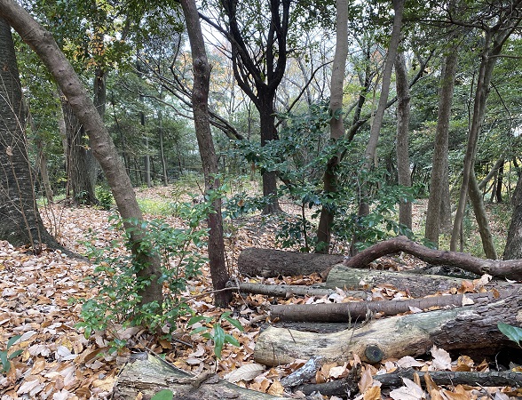 金城学院大学(名古屋市守山区)キャンパス内で開催のイベント(クリスマスリースと正月飾り作り)2025年12月13日