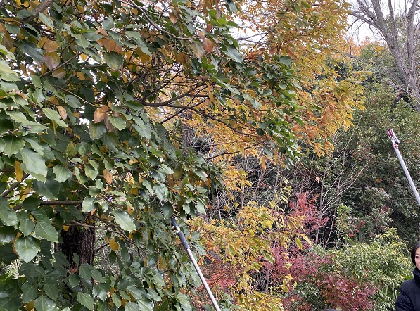 金城学院大学(名古屋市守山区)キャンパス内で開催のイベント(クリスマスリースと正月飾り作り)2025年12月13日