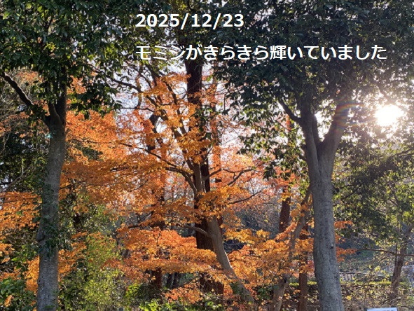 平和公園（名古屋市）