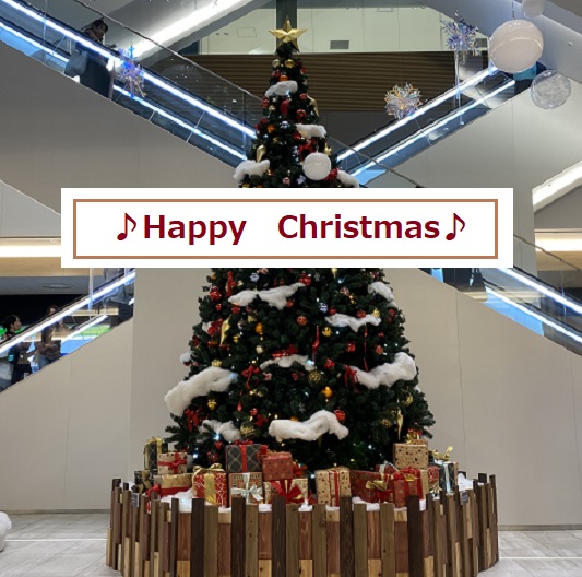 中日ビルのクリスマスツリー（2025年12月24日撮影）