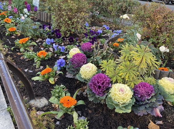 名古屋駅前のおもてなし花壇（2025年12月22日撮影）