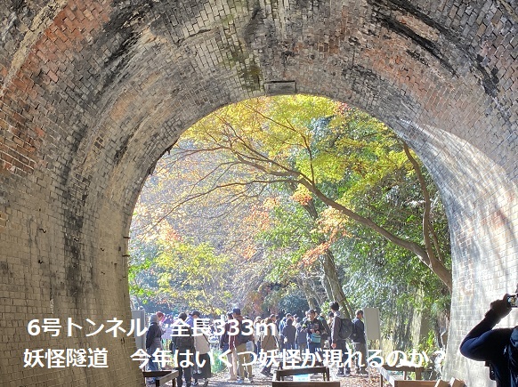 愛岐トンネル群の紅葉(2025年12月7日撮影)