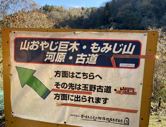 愛岐トンネル群の紅葉(2025年12月7日撮影)