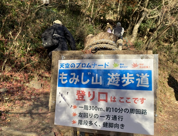 愛岐トンネル群の紅葉(2025年12月7日撮影)