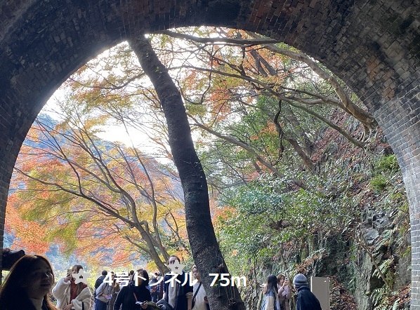 愛岐トンネル群の紅葉(2025年12月7日撮影)