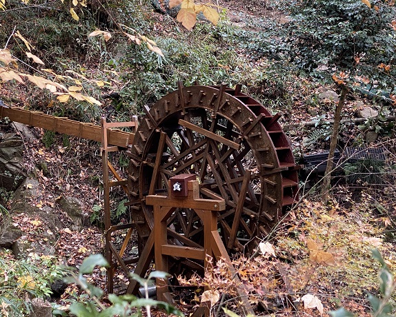 愛岐トンネル群の紅葉(2025年12月7日撮影)