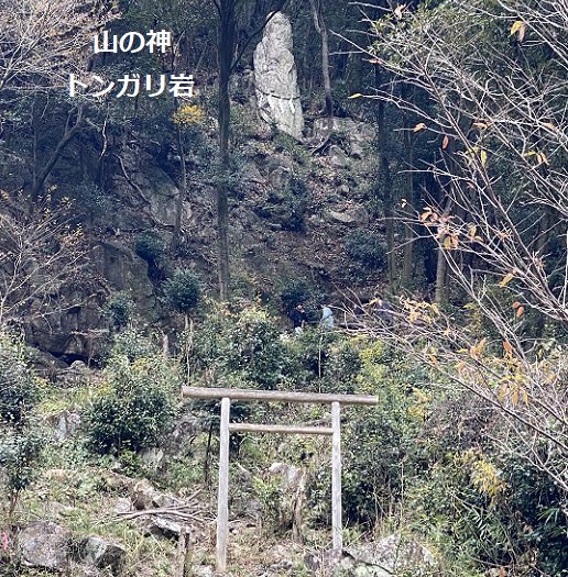 愛岐トンネル群の紅葉(2025年12月7日撮影)