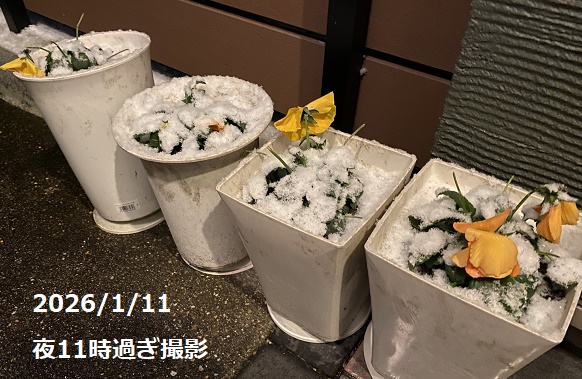 2026年1月11日深夜の雪（名古屋市名東区）