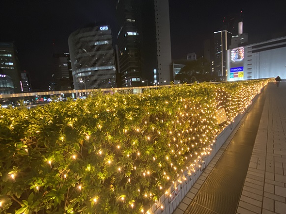 JR名古屋高島屋の電飾（2026年1月11日）