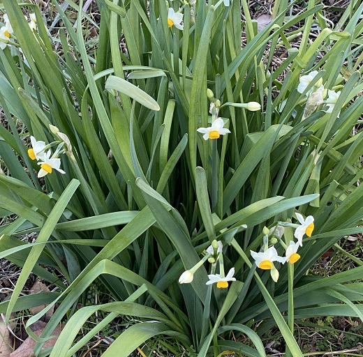 名古屋市名東区周辺