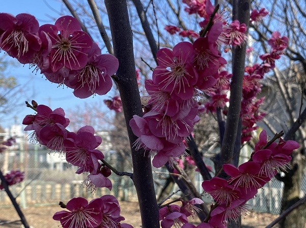 上野天満宮（名古屋市千種区）